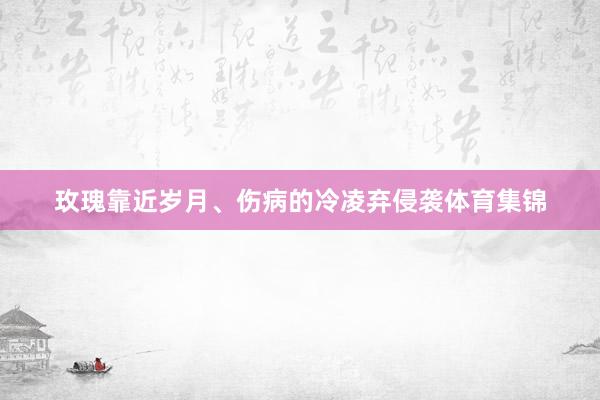 玫瑰靠近岁月、伤病的冷凌弃侵袭体育集锦